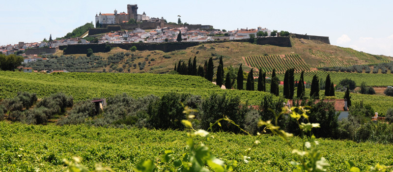 Weinreisen durch Portugal