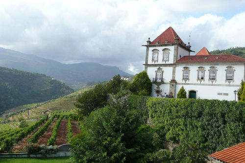 Douro - Die Wein-Philosophie